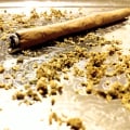 How to Roll a Blunt: A Step-by-Step Guide