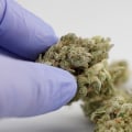 Medical Cannabis Possession in the UK: A Comprehensive Overview