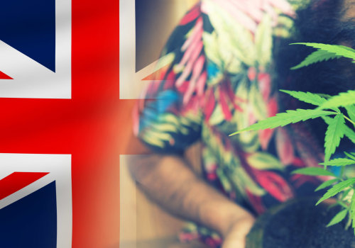 Exploring Cannabis Dispensaries in the UK