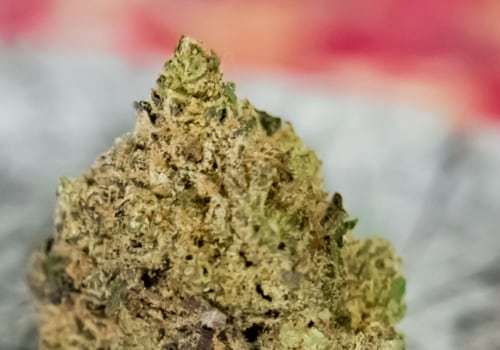 Unveiling OG Kush: A Quintessential Cannabis Experience