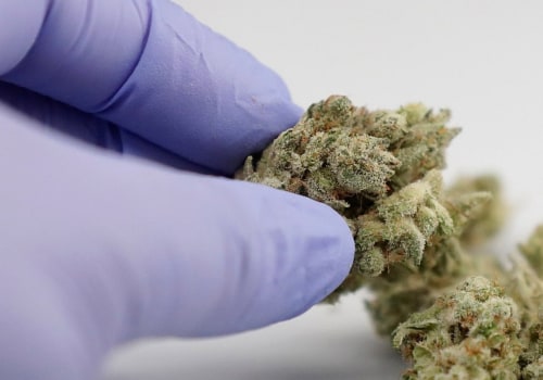 Medical Cannabis Possession in the UK: A Comprehensive Overview